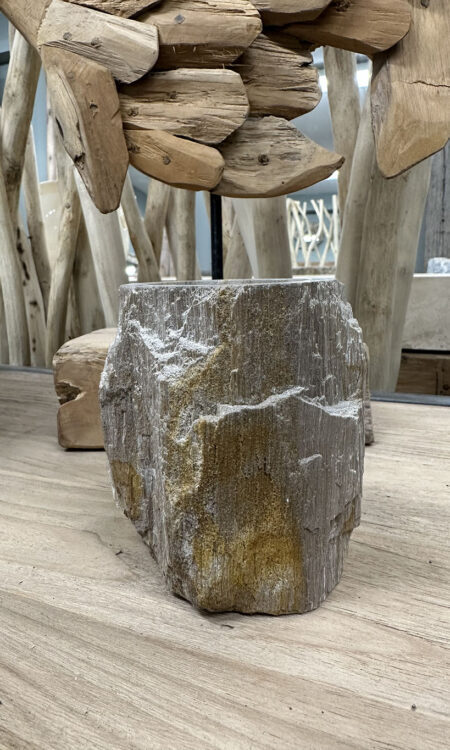 Tandenborstelbeker versteend hout