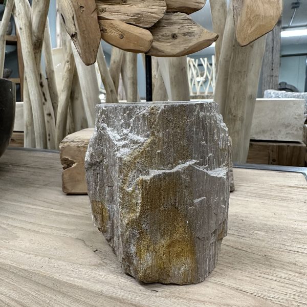 Tandenborstelbeker versteend hout