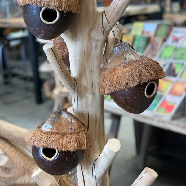 Vogelhuisje van kokosnoot