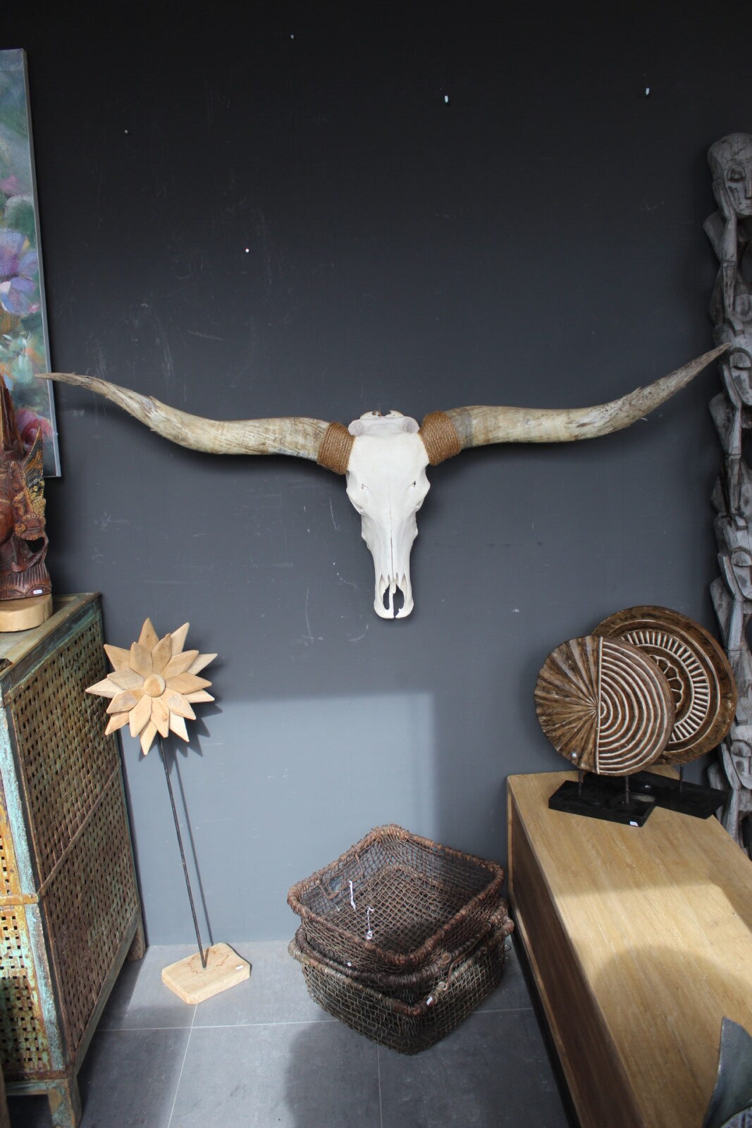 Texas Longhorn skull met lange hoorns als wanddecoratie