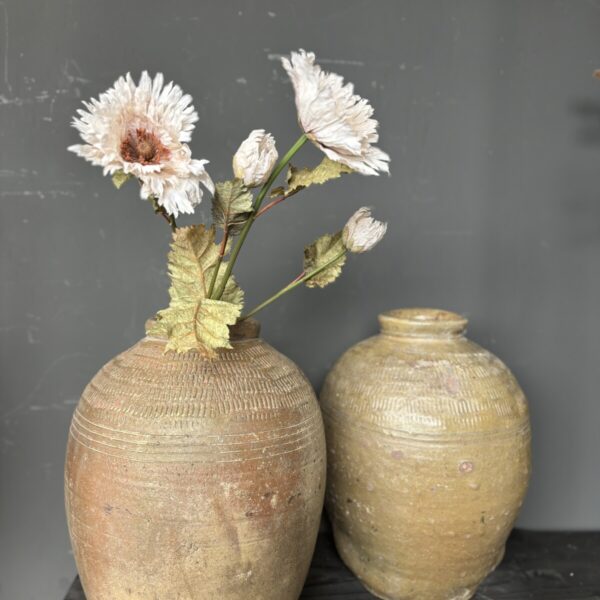 aardewerk pot naturel met ronde vorm en smalle hals