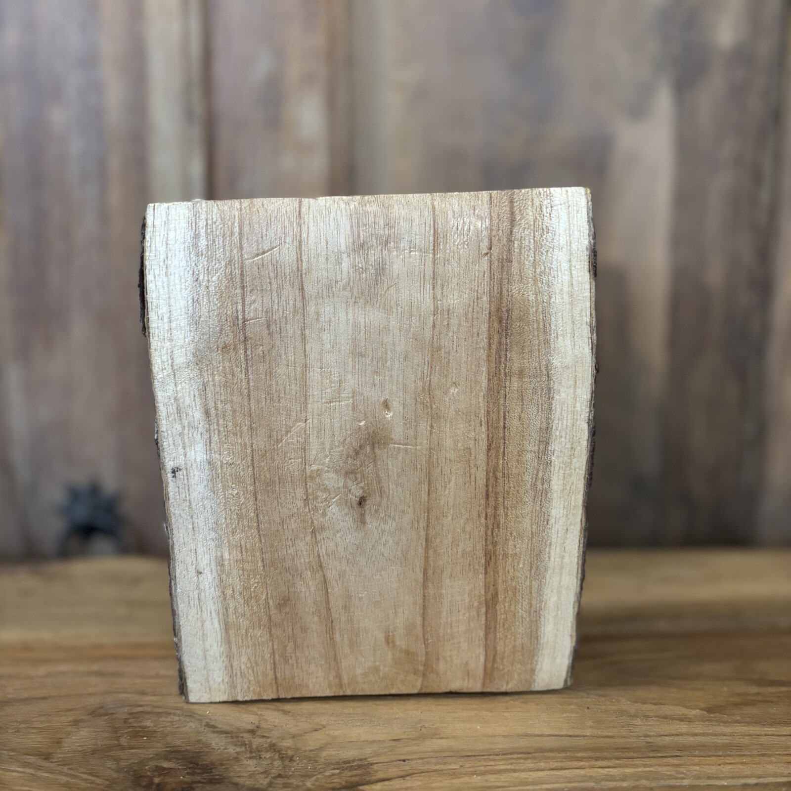 Houten olifantenkop in boomstam - Afbeelding 4