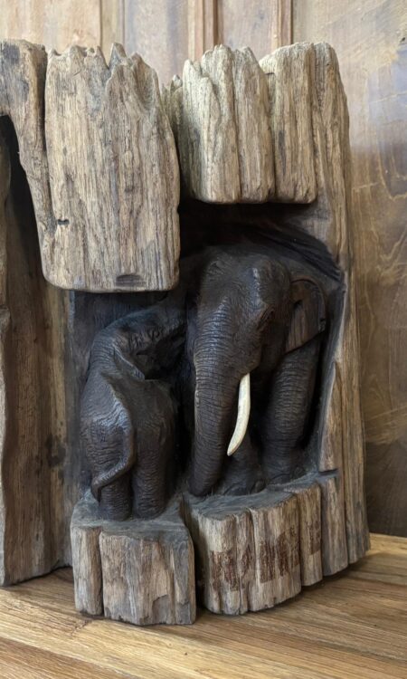 Olifanten in Boomstam – Grof